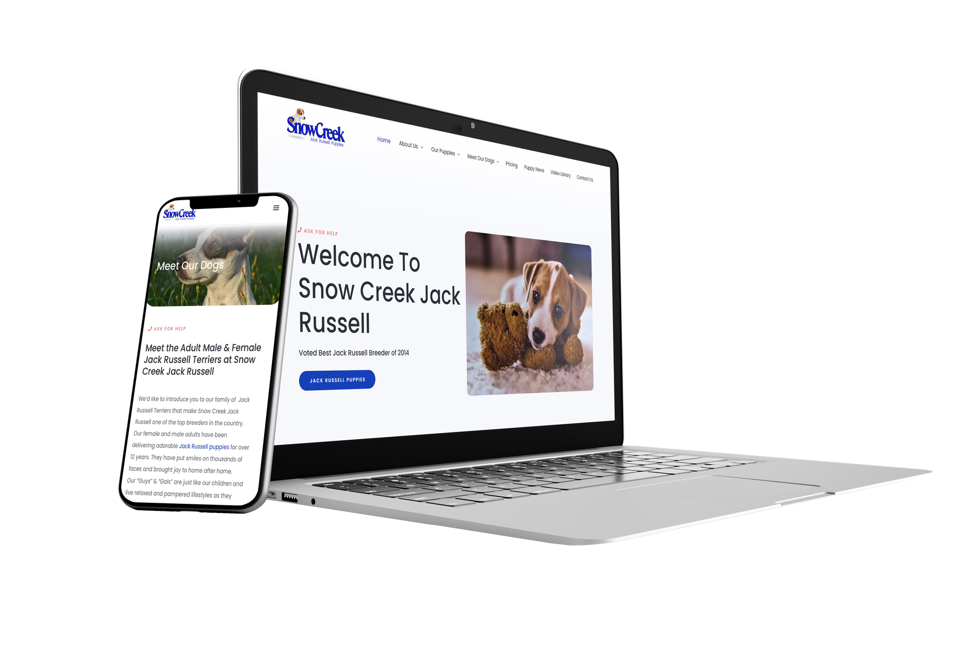 Snowcreek Jack Russell Website Display