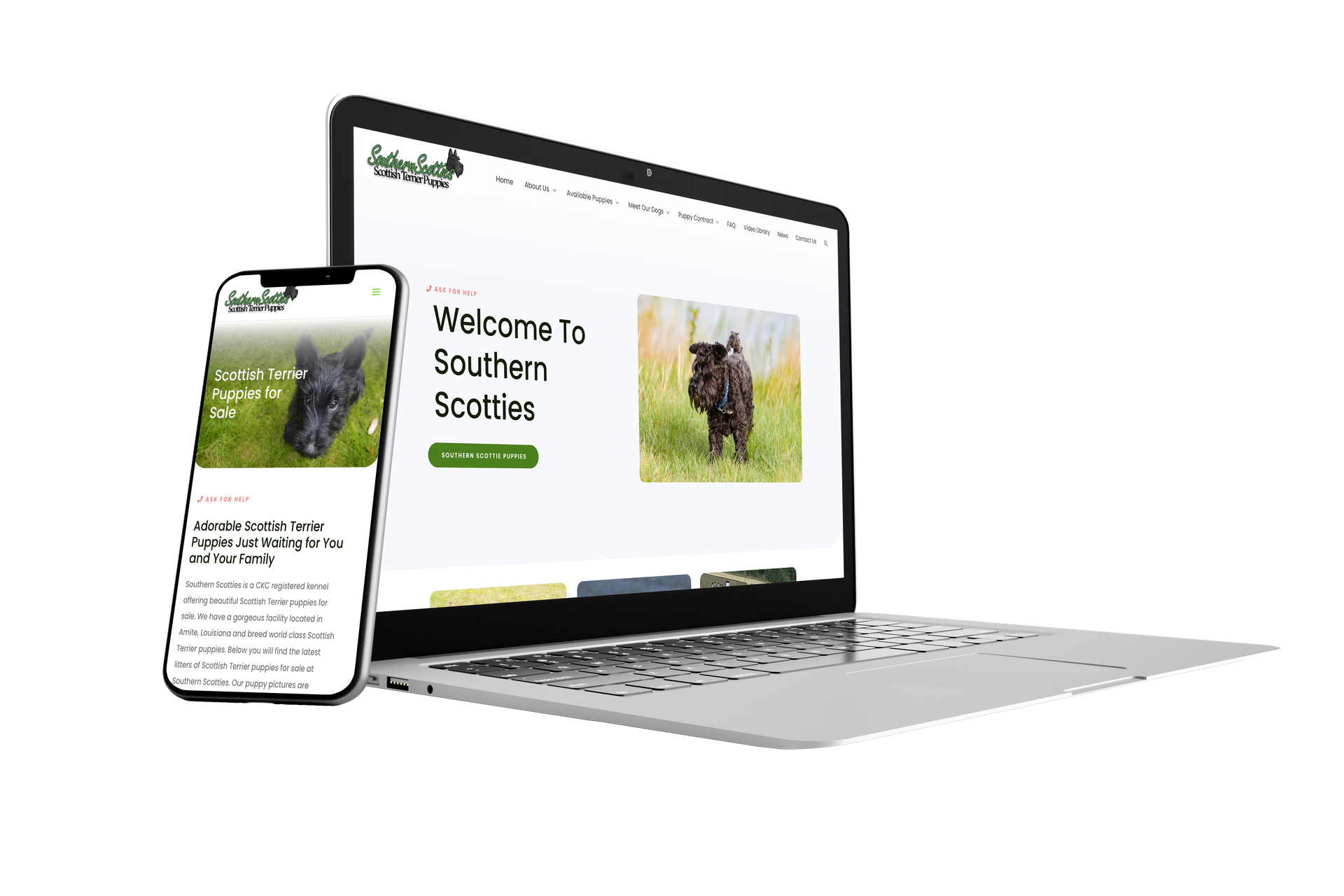 Southern Scotties Website Display